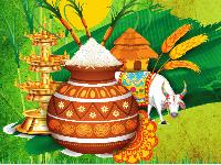 sankranti images kannada