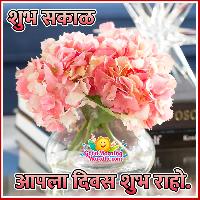 shubh sakal flower images
