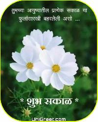 shubh sakal flower images
