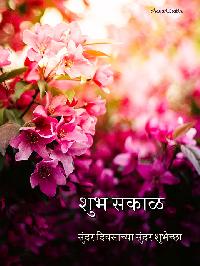 shubh sakal flower images