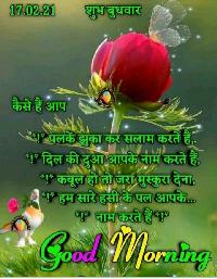 subh budhwar good morning image