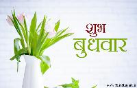 subh budhwar good morning images
