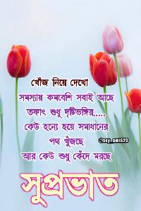 subho sokal image