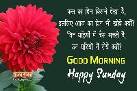 good morning happy sunday