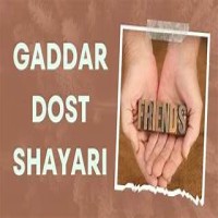 Gaddar Dost Shayari