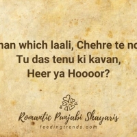 Punjabi Love Shayari In English