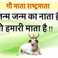 Gau Mata Quotes