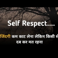 Attitude Self Respect Quotes In Hindi