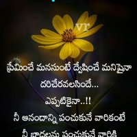 Life Good Morning Quotes Telugu