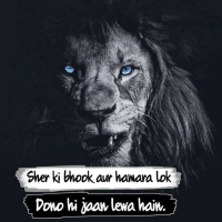 Best Shayari In English