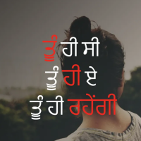 Top Punjabi Attitude Shayari For Bold And Stylish Mood