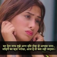 Hurt Sorry Shayari