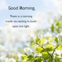 Good Morning Shayari In English
