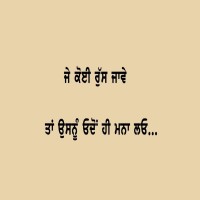 Punjabi Quotes On Life