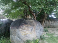 andimalai stone beds cholapandiyapuram jain mandir