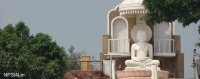 mahavir jain temple and digambar jain parasnath jinalaya bhind jain mandir