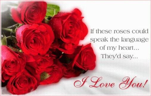 Image result for Rose Day Quotes