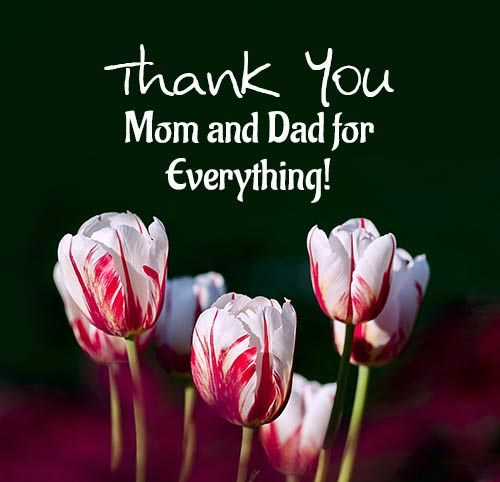 thank you greeting card