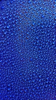 blue dp for whatsapp
