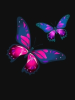 butterfly whatsapp dp