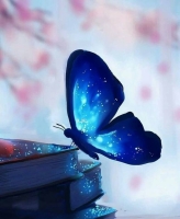 butterfly whatsapp dp