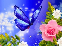 butterfly whatsapp dp