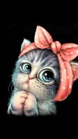 cute cat dp for whatsapp