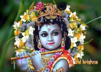 cute krishna dp for whatsapp