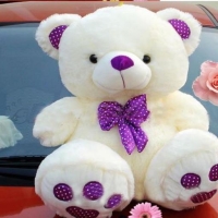 cuteness cute teddy bear images for whatsapp dp