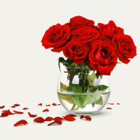 flower images for whatsapp dp
