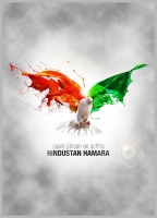 independence day whatsapp dp