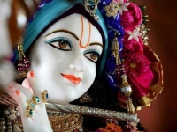 little krishna images for whatsapp dp