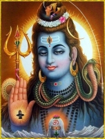 lord shiva whatsapp dp