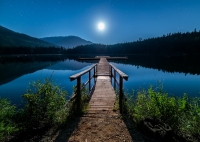 nature whatsapp dp