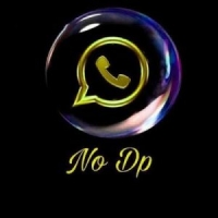 no dp for whatsapp