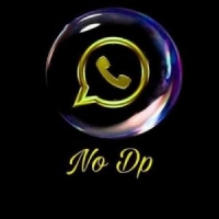 no dp whatsapp