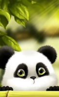 panda dp for whatsapp