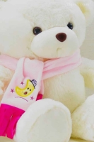 profile cute teddy bear images for whatsapp dp