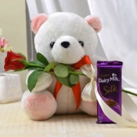 profile cute teddy bear images for whatsapp dp