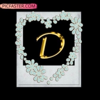 stylish d letter whatsapp dp