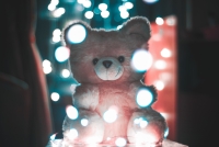 teddy bear dp for whatsapp