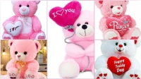 teddy bear pics for whatsapp dp