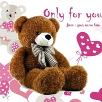 teddy bear pics for whatsapp dp