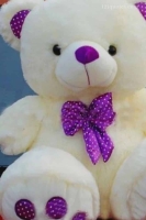 teddy bear pics for whatsapp dp