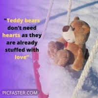 teddy dp for whatsapp