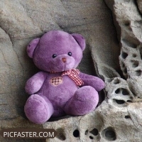 teddy dp for whatsapp