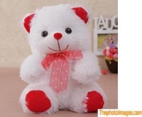 teddy dp for whatsapp