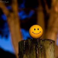 whatsapp dp smiley ball