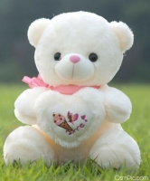 whatsapp dp teddy bear