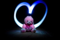 whatsapp dp teddy bear